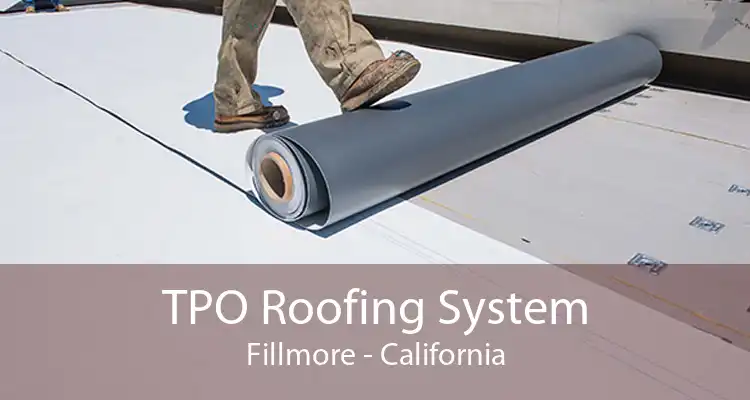 TPO Roofing System Fillmore - California
